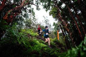 BIB: 
                            <button type="button" onclick="openModal(26203556)" class="btn btn-primary btn-sm float-right btn-popup" data-toggle="modal" data-target=".modal-high-quality">
                        <i class="fas fa-shopping-cart"></i> Add to Cart
                    </button>
                                            <button type="button" onclick="isThisMe(26203556, true)" class="btn btn-success btn-sm float-right btn-popup btn-isme hidden" data-toggle="tooltip" data-placement="bottom" title="นี่คือรูปของคุณใช่ไหม คลิกที่นี่เพื่อเอาเข้าอัลบั้ม">
                        <i class="fas fa-plus"></i> Add to album
                    </button>
                    <button type="button" onclick="isThisMe(26203556, false)" class="btn btn-warning btn-sm float-right btn-popup btn-isnotme hidden">
                        <i class="fas fa-ban"></i> Remove from album
                    </button>